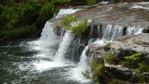 Winifred Falls, Royal National Park